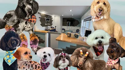 Wag & Brag Grooming Mobile and Salon — photo from their website