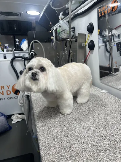 Furry Land of Greater Houston — photo from their website