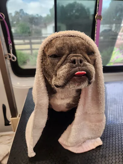 Crafted Canine Mobile Dog Grooming — photo from their website