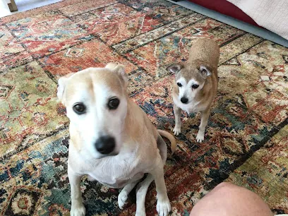 Town and Country Mobile Grooming LLC — photo from their website