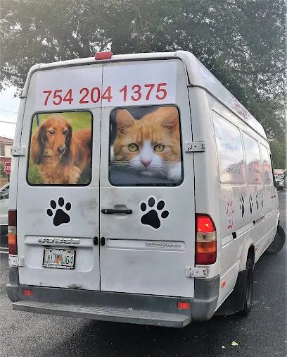 Styleash Paws Mobile Pet Grooming — photo from their website
