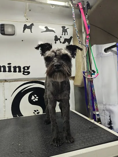 Magnolia Mobile Pet Spa — photo from their website