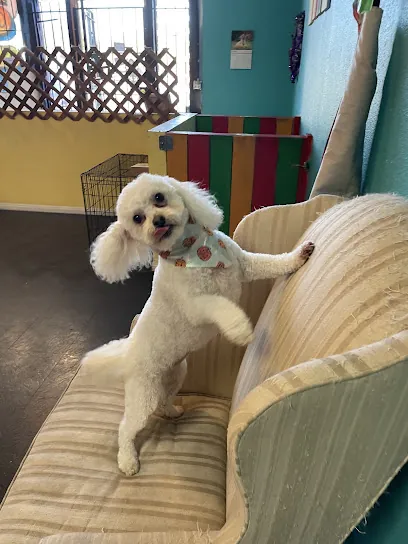 Pooch Bar Mobile Dog Grooming LLC — photo from their website
