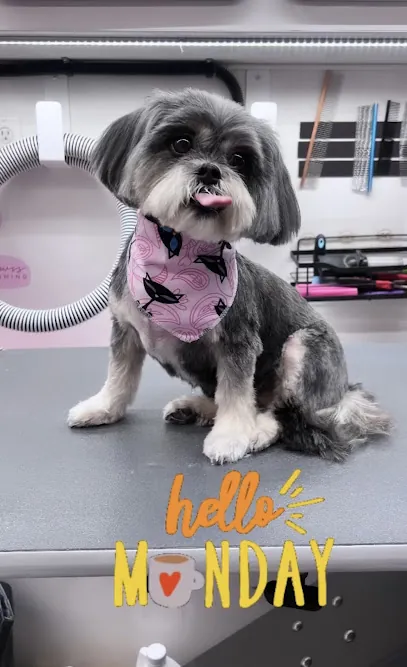 Popcorn Pawss Grooming | Mobile Dog Grooming — photo from their website