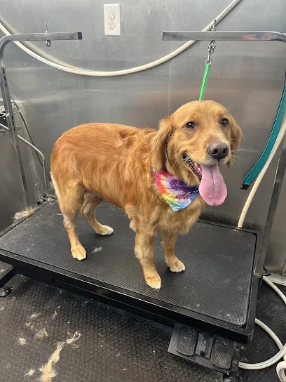 The Dog Garage Mobile Pet Salon — photo from their website