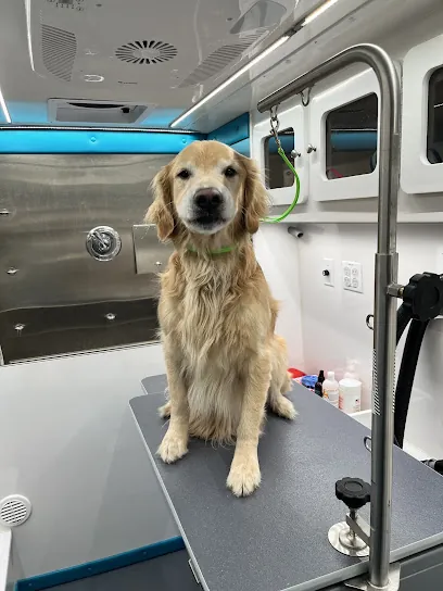 Wag And Wash Mobile Grooming — photo from their website