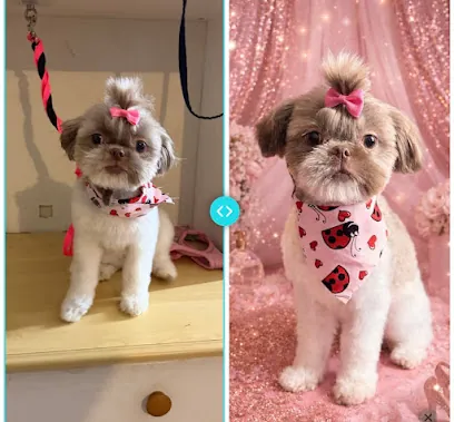 Saved and Slayed Mobile Grooming — photo from their website