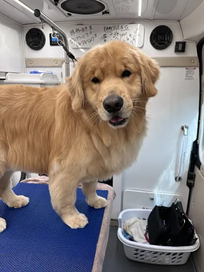 Abby’s Mobile Dog grooming — photo from their website