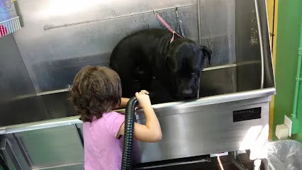A Classy K9 Mobile Pet Grooming — photo from their website