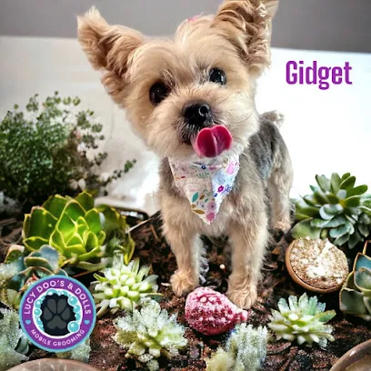 Lucy Doo's & Dolls Mobile Grooming — photo from their website