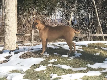 Monet Mobile Pet Sitting/dog walker — photo from their website