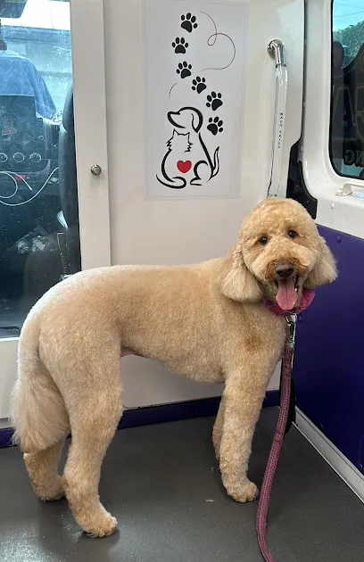 Monarca Mobile Pet Grooming — photo from their website