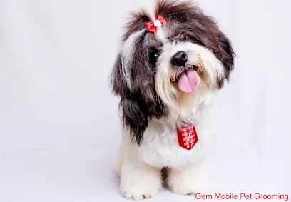Gem Mobile Pet Grooming — photo from their website