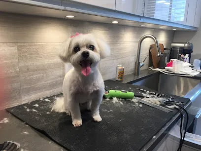 Little B's In-Home Grooming — photo from their website