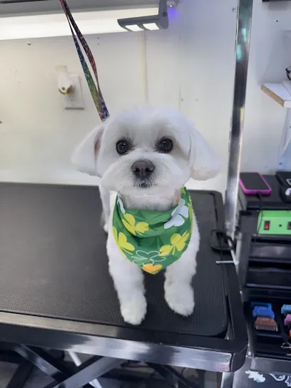 TransFURmation Mobile Grooming — photo from their website