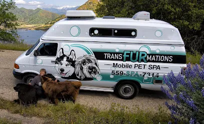 Transfurmations Mobile Pet Spa — photo from their website