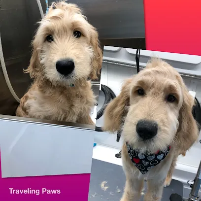 Traveling Paws Mobile Grooming,LLC — photo from their website