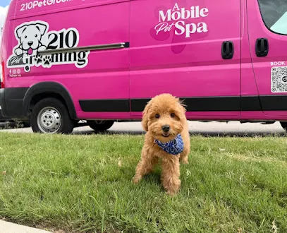 210 PET GROOMING - MOBILE PET SPA — photo from their website