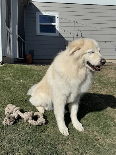 Austin Mobile Spaws — photo from their website