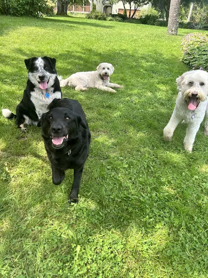 Mia's Mobile Pet Service — photo from their website