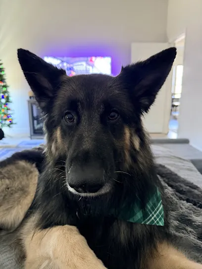 Hound Haven Mobile Pet Spa — photo from their website