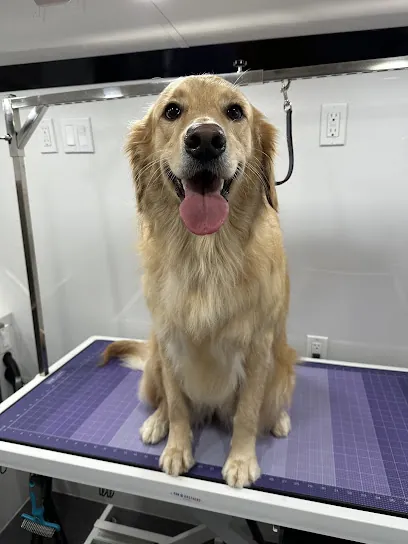 Pooch and Shears Mobile Grooming — photo from their website