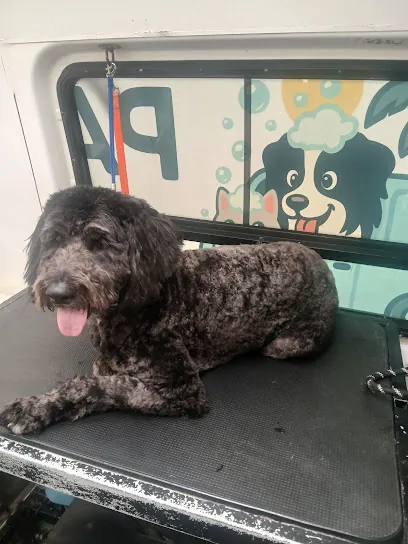 Pawradise Mobile Grooming — photo from their website