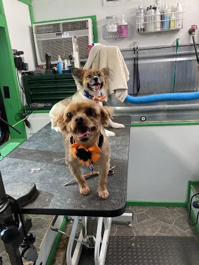 Muddy Paws Mobile Salon — photo from their website
