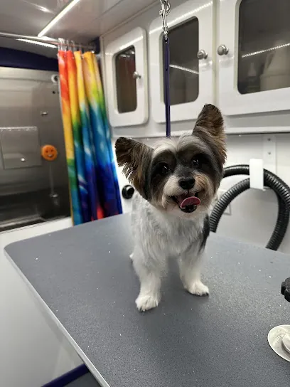 Sara Scissorhands Mobile Grooming — photo from their website