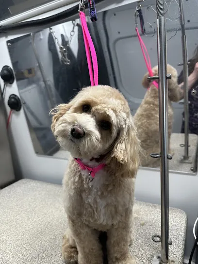 Aimee The Groomer mobile grooming — photo from their website