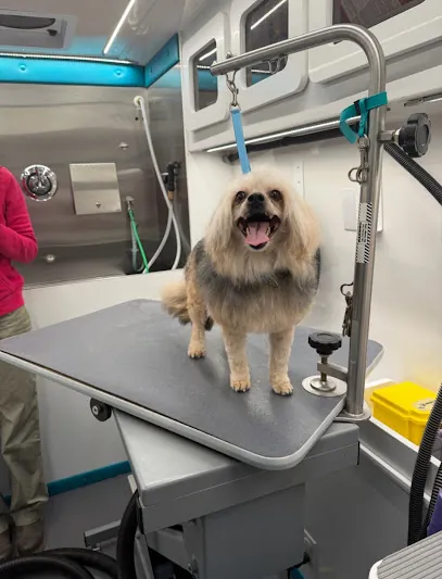 Serenity Mobile Grooming Spa LLC — photo from their website
