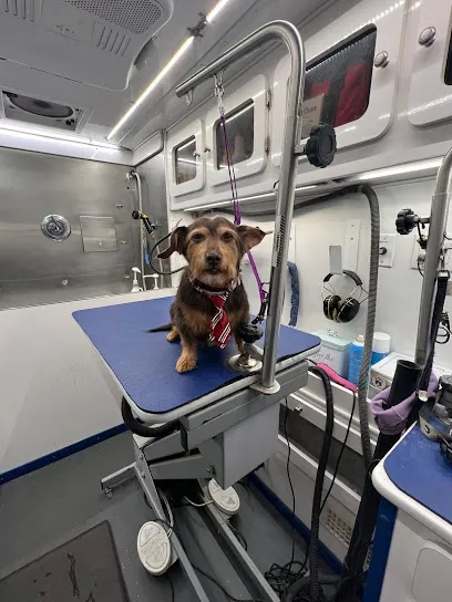 Super Pets Mobile Grooming — photo from their website