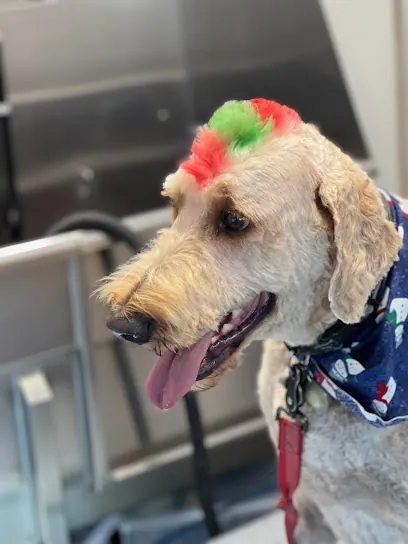 Charmed Paws Mobile Pet Spa — photo from their website