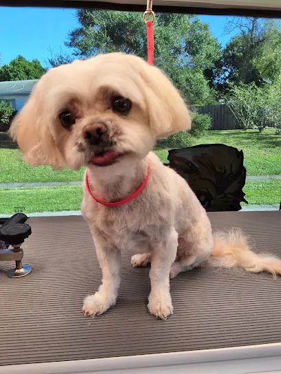 Happy Paws By Lori Luxury Mobile Pet Spa — photo from their website