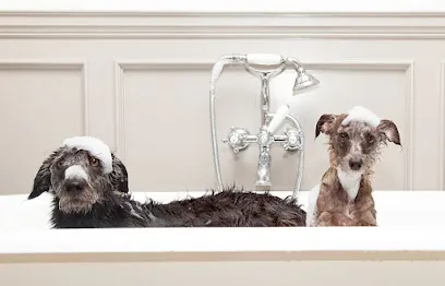 Brandy's Mobile Pet Salon — photo from their website