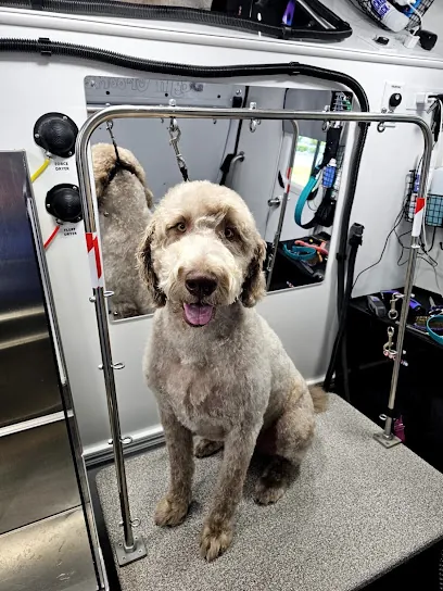 Barkbus Mobile Dog Grooming Atlanta — photo from their website