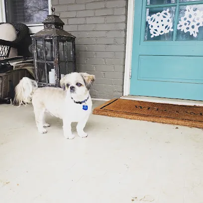 Pawlished Mobile Grooming Salon — photo from their website