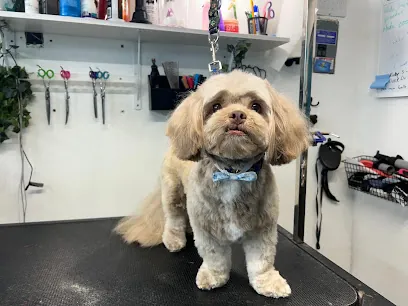 Gia's Gentle Grooming — photo from their website