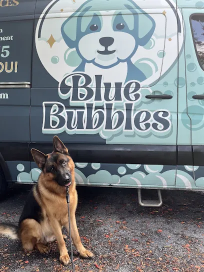 Blue Bubbles Pet Spa (Mobile) — photo from their website