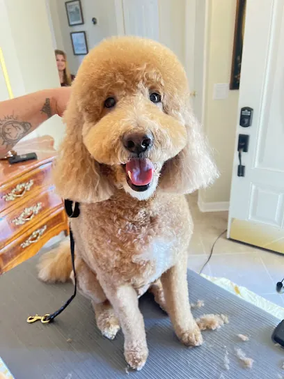 PAWfect ImPURRfections In-Home Grooming Services — photo from their website