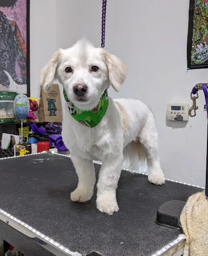 Elk Grove Mobile Dog Grooming — photo from their website
