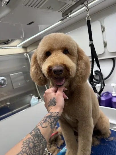 Abby's mobile Grooming — photo from their website