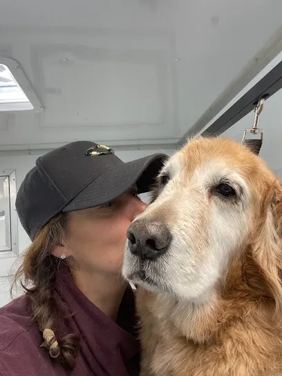Fluff N' Fun Mobile Dog Grooming — photo from their website