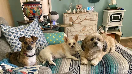 Boom-Chicka-Groom-Groom LLC. Mobile Pet Grooming — photo from their website