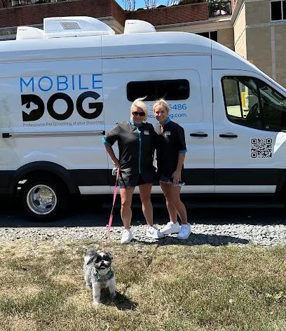 Mobile Dog — photo from their website