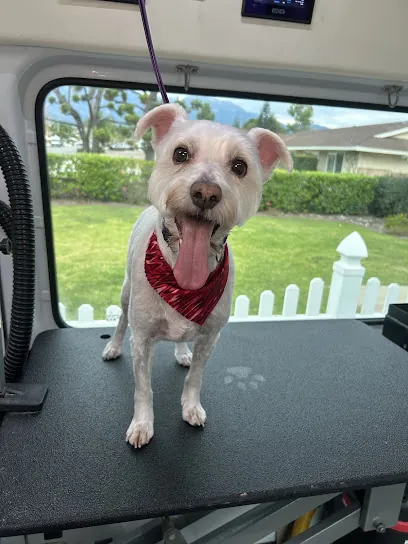 Diamonds in the Ruff Mobile Pet Grooming — photo from their website