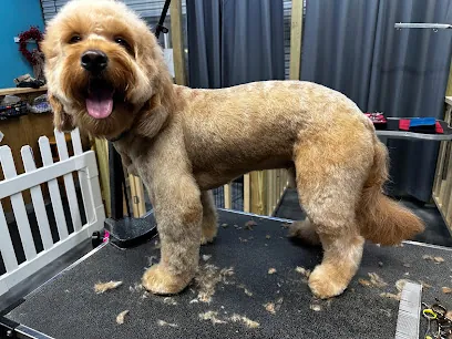 The Fur Factor Mobile Pet Spa — photo from their website