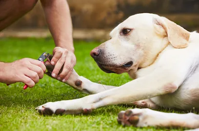 Mobile Dog Grooming of Simi Valley Thousand Oaks — photo from their website