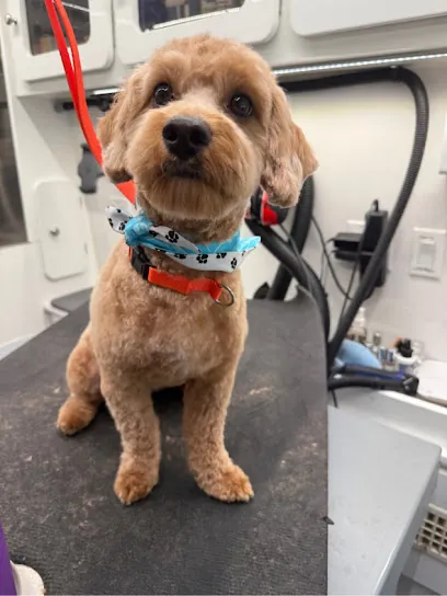 Pup Jam Grooming - Mobile Dog Grooming — photo from their website