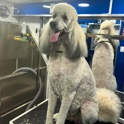 Alpha Dog Mobile Grooming Boutique — photo from their website